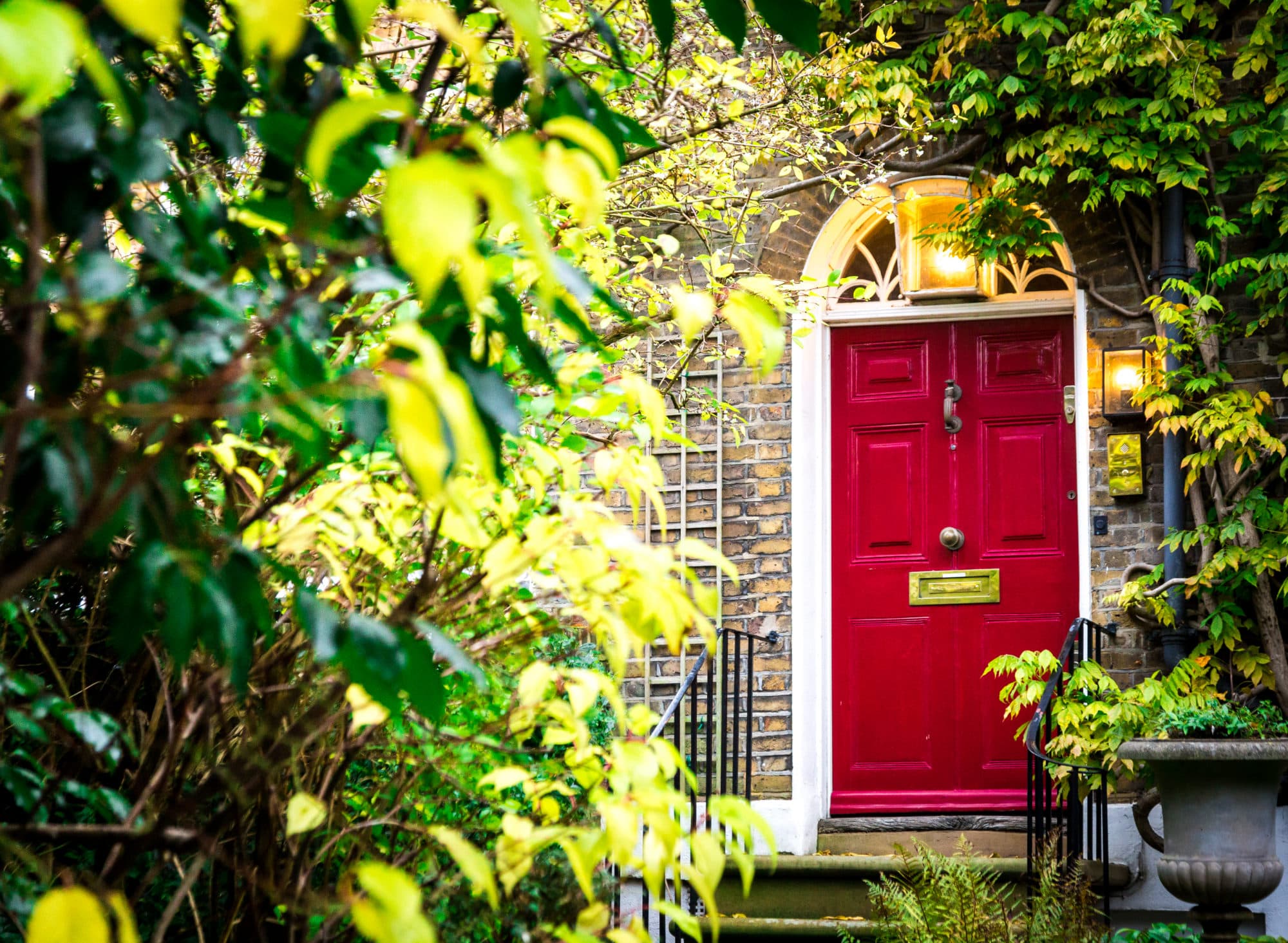 Red front door of a brick house surrounded by leafy climbing plants.